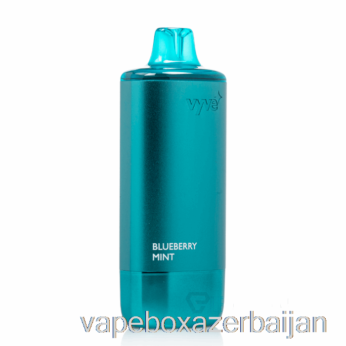 Vape Smoke Vyve 10000 Disposable Blueberry Mint